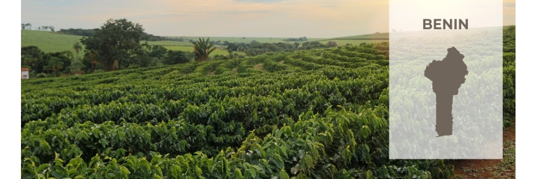 Caffè del Benin