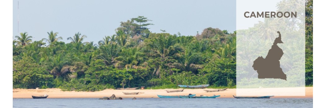 Caffè dal Cameroon