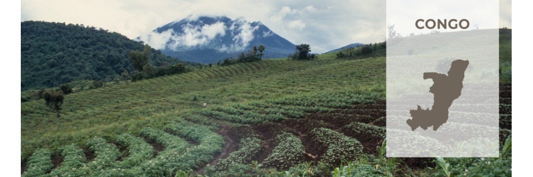 Caffè dal Congo