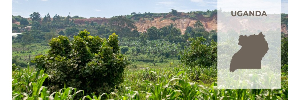 Uganda