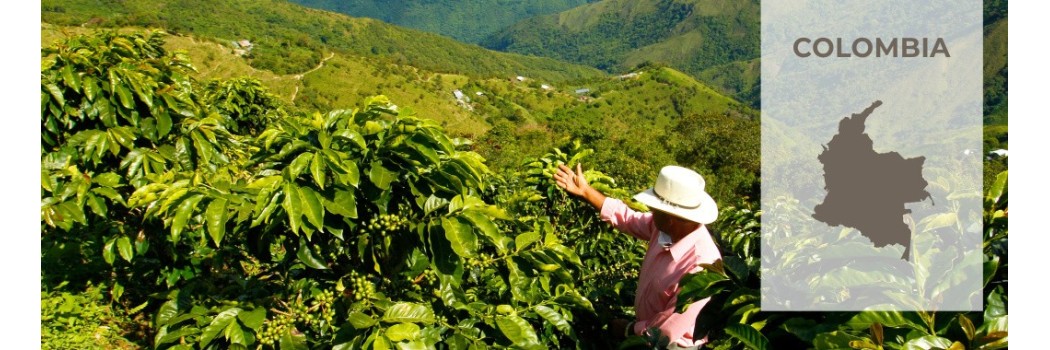 Caffè della Colombia