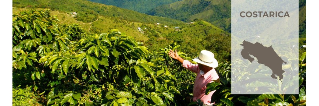 caffe-costa-rica