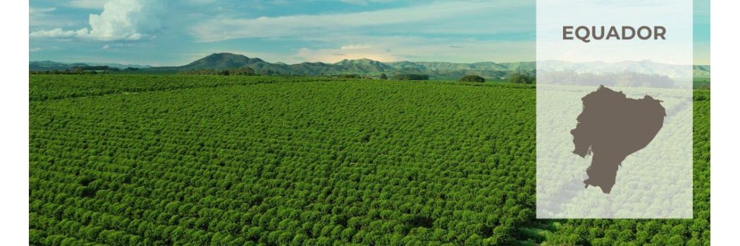 Caffè dell'Equador