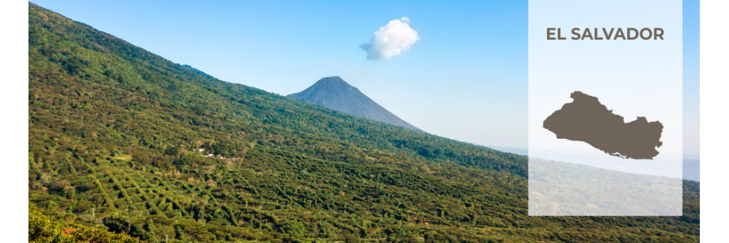Caffè dall' El Salvador