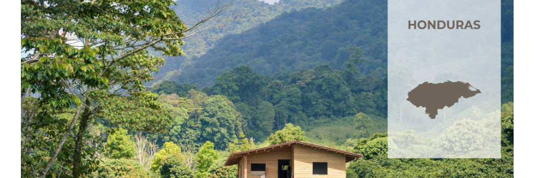 Caffè dall'Honduras