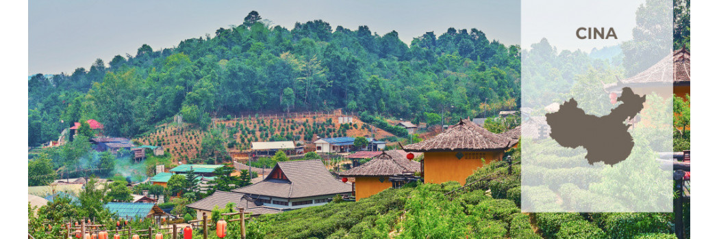 Caffè dalla Cina