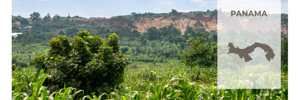 Caffè da Panama