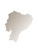 caffe-el-salvador