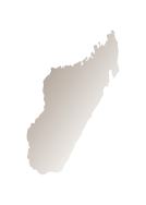 caffe-madagascar.png