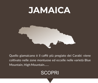 caffè jamaica